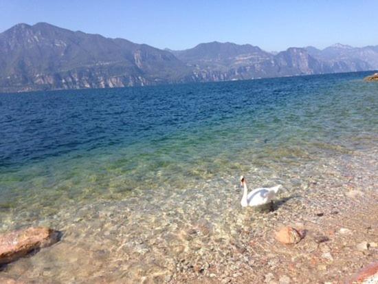 Attico Nel Borgo Apartment Torri Del Benaco Luaran gambar